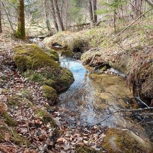 Meet your Posher, Josee